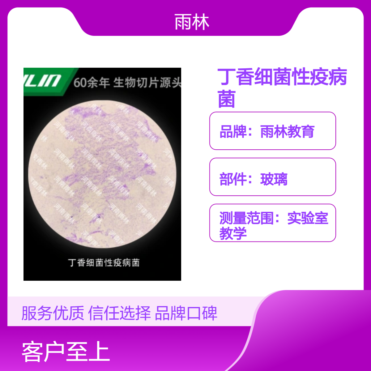 丁香细菌性疫病菌显微镜标本切片动植物细胞观察实验高校教学示范