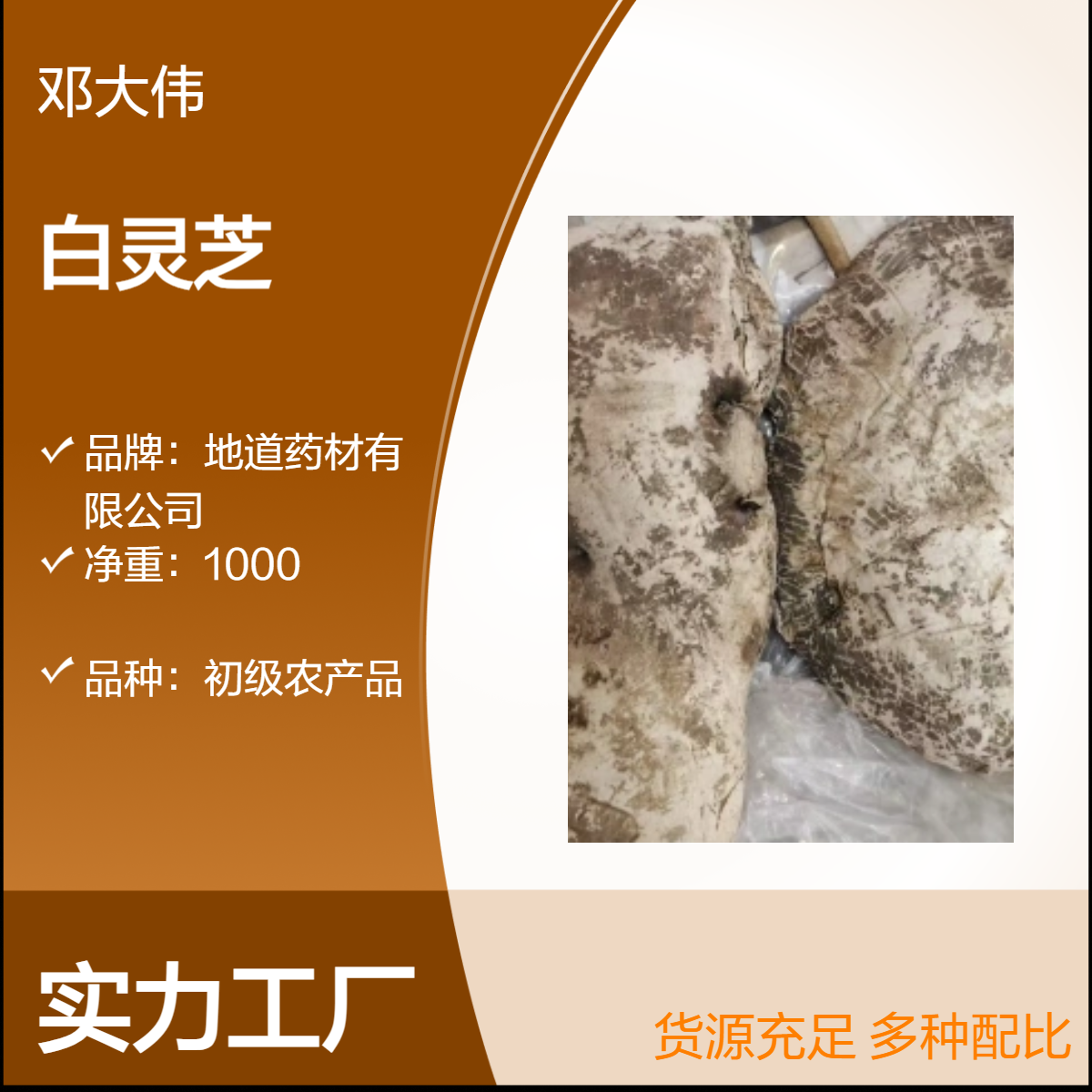 中药材白灵芝产地供应 自然晾晒 一手货源 全国批发包邮