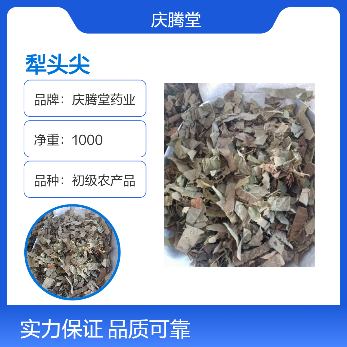 冷背药材 犁头尖 正宗 原药材 新货 品质好 产地直售