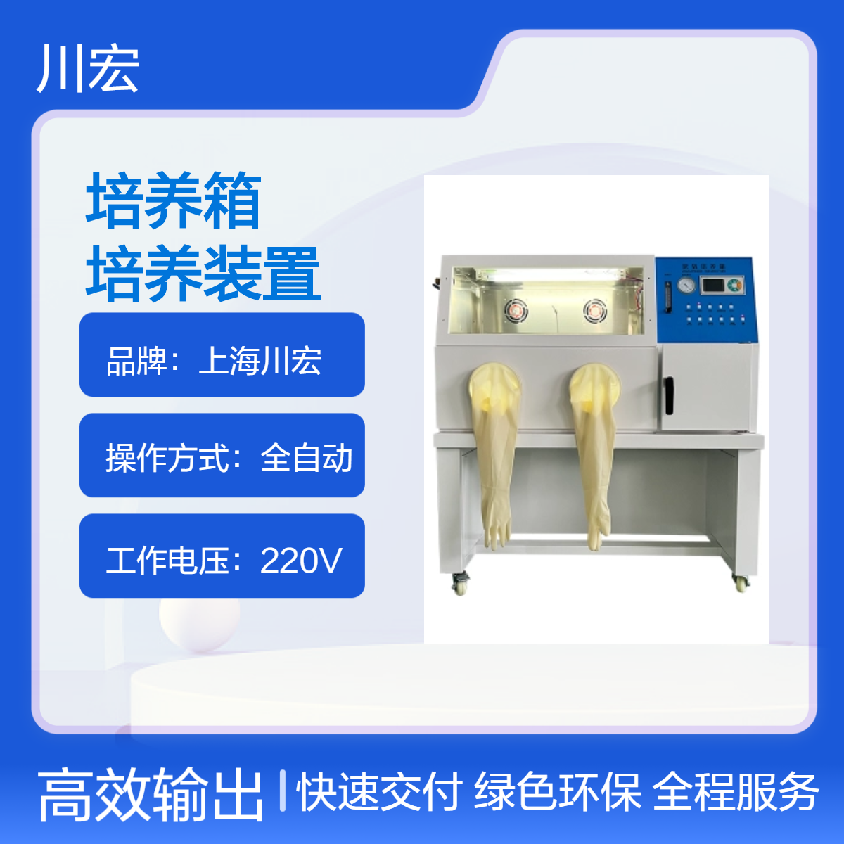 厌氧培养箱 微需氧真空手套缺氧培养装置 YQX-II