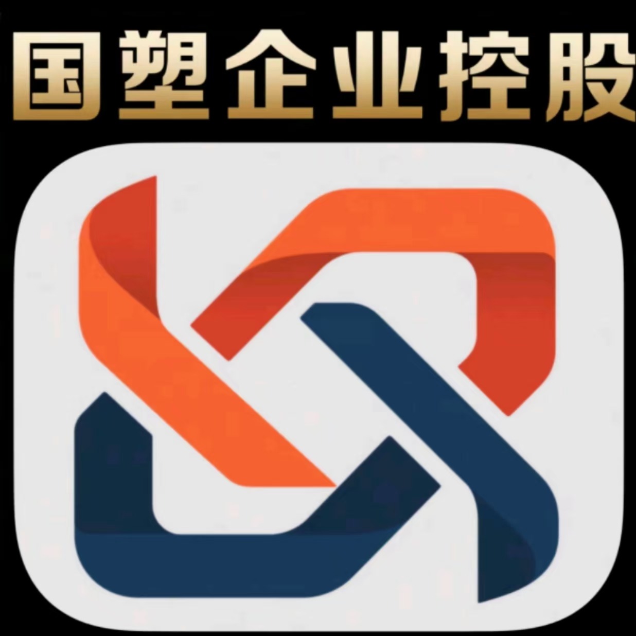 陕西国塑企业控股有限公司 - 公司logo