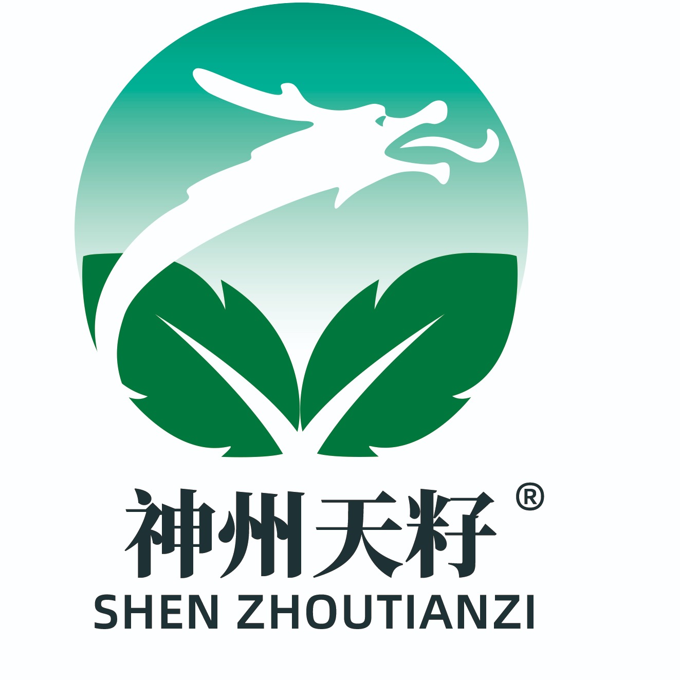 石家庄市巨农种籽有限公司