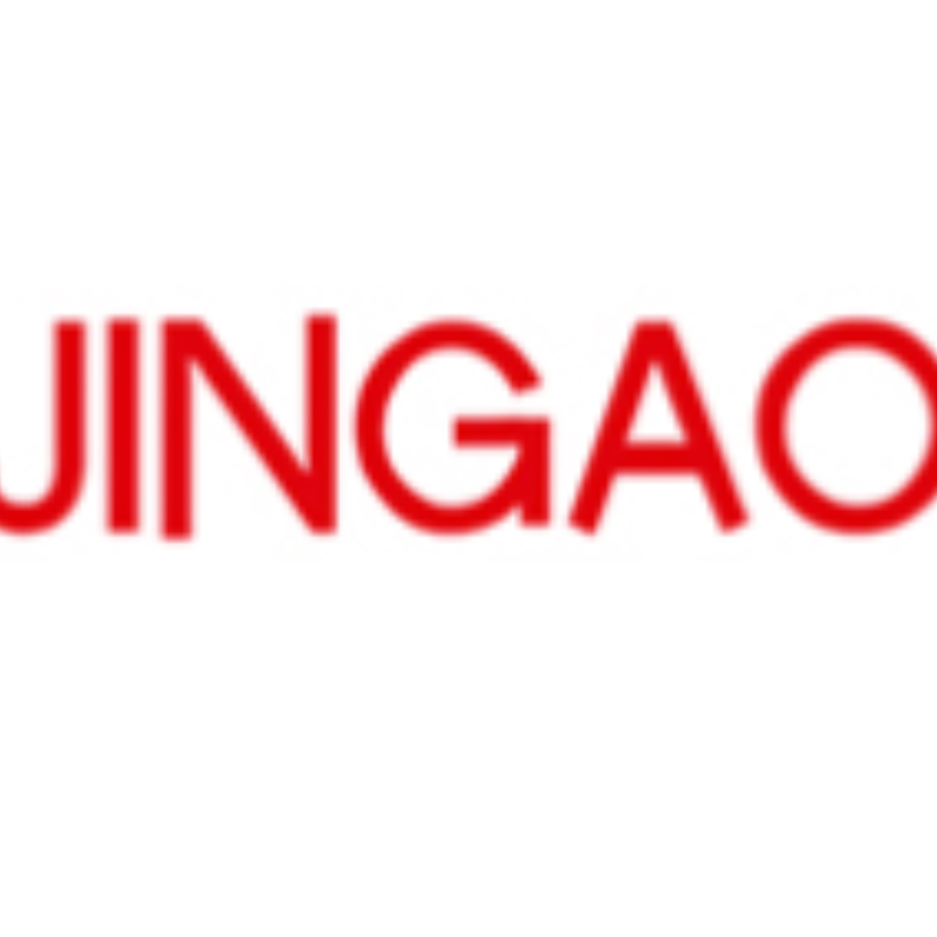 沈阳精奥仪器科技有限公司 - 公司logo