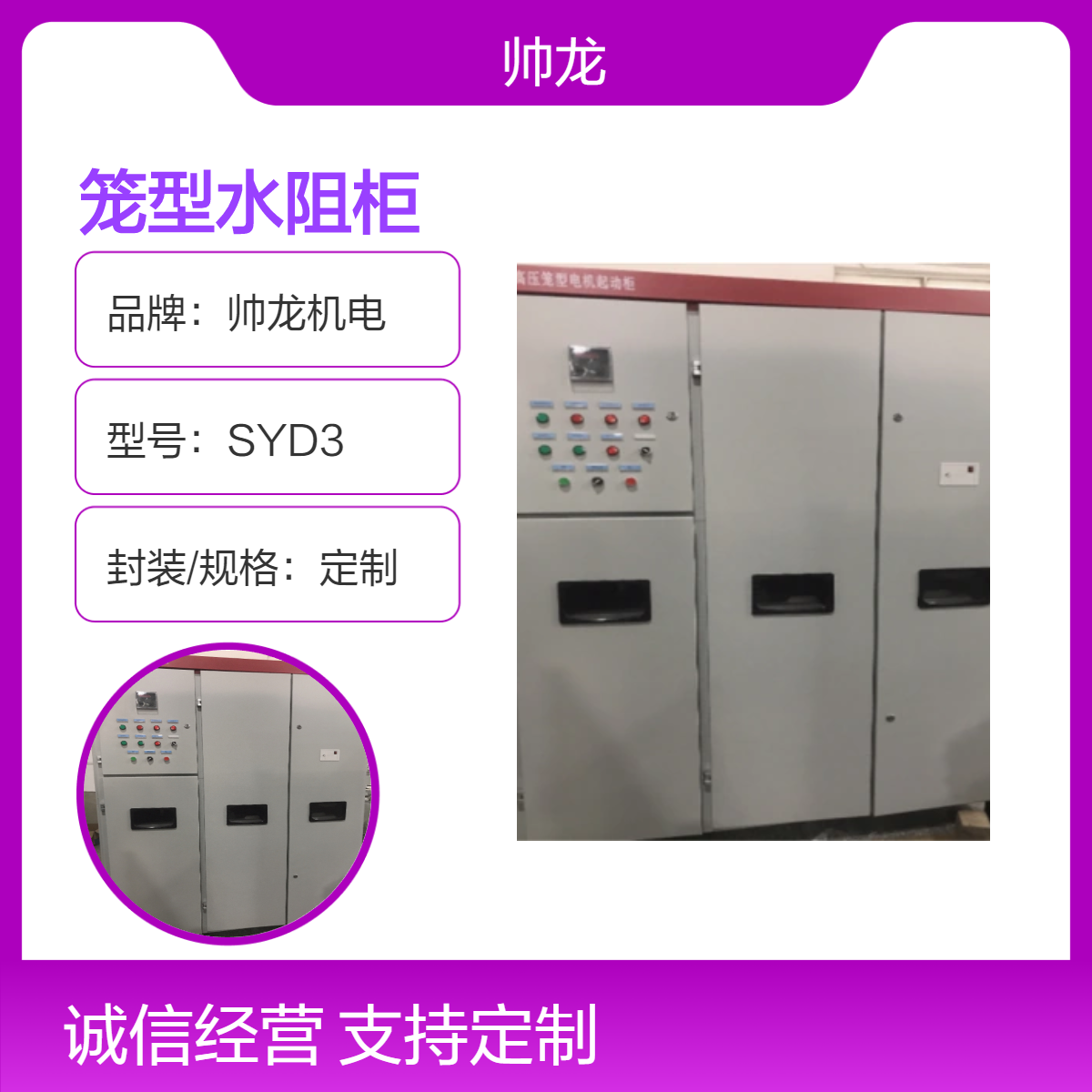 帅龙机电定制SYD3笼型水阻柜 10kv球磨机起动柜