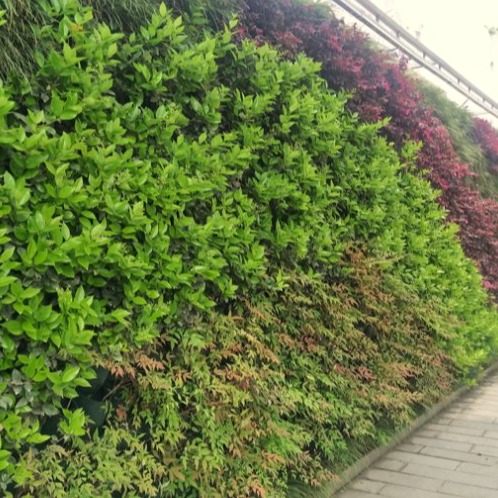仿真植物墙能防火