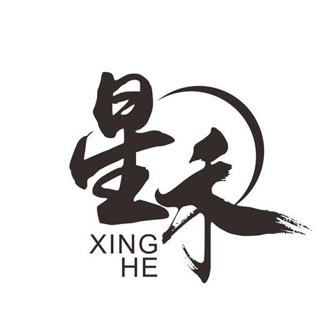 Shandong Xinghe Plastic Industry Co., Ltd - Company Logo