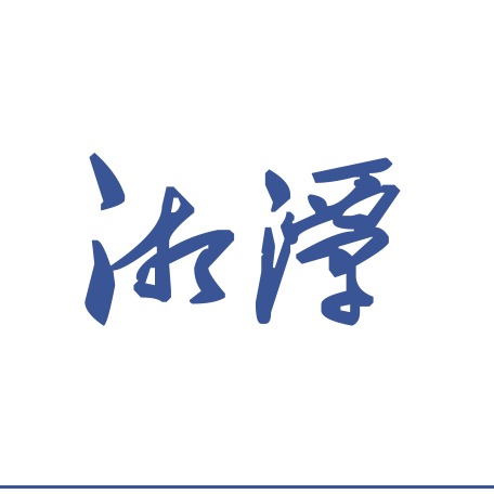湖南莱特电机有限公司 - 公司logo