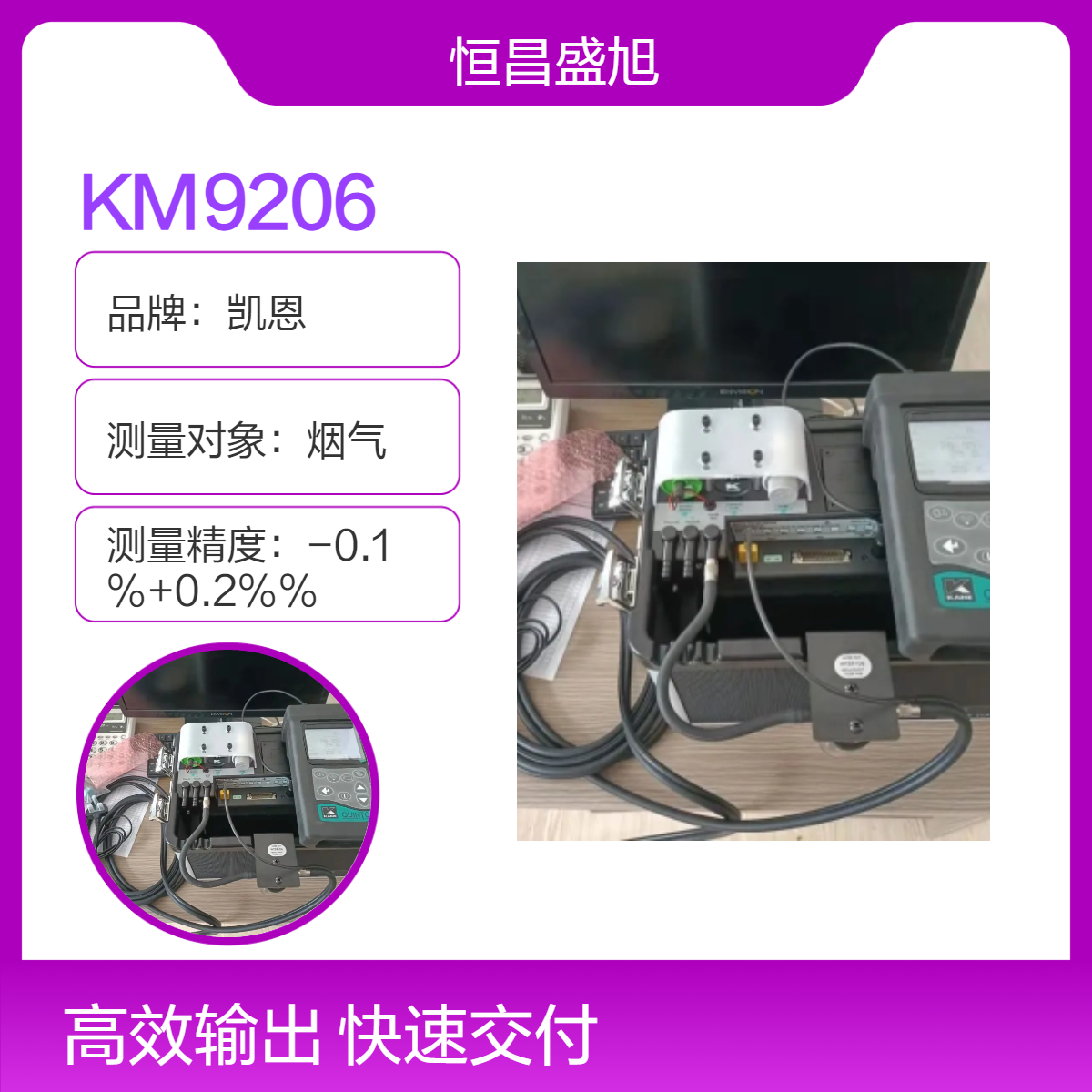 路博环保 凯恩直读式烟气测量仪 低噪声4.8kg 高效监测