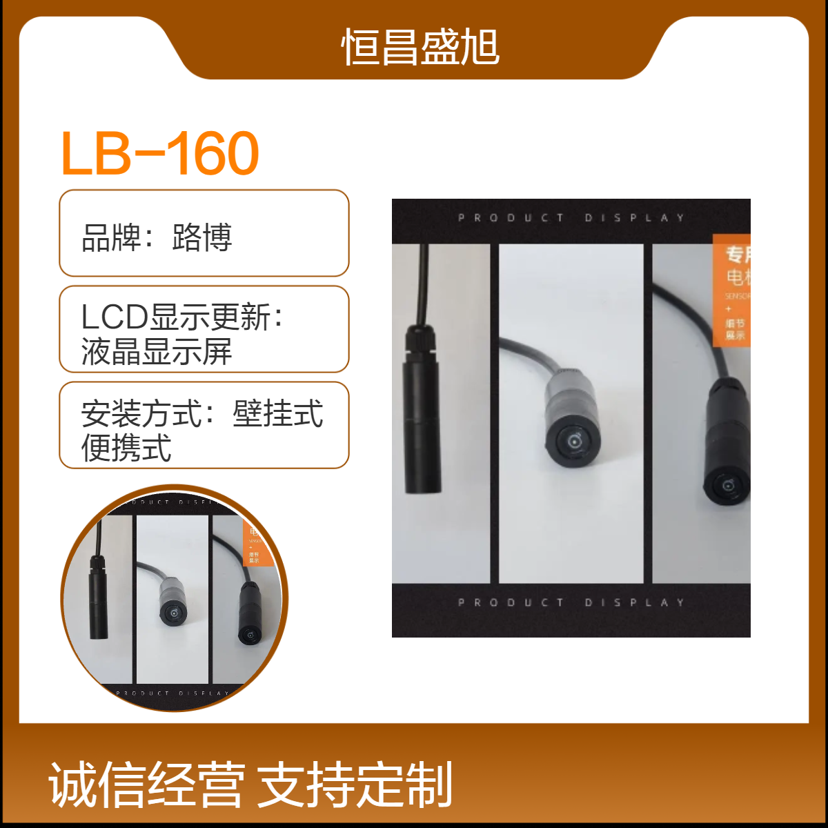 路博数显溶解氧测定仪 24小时连续监测 液晶显示