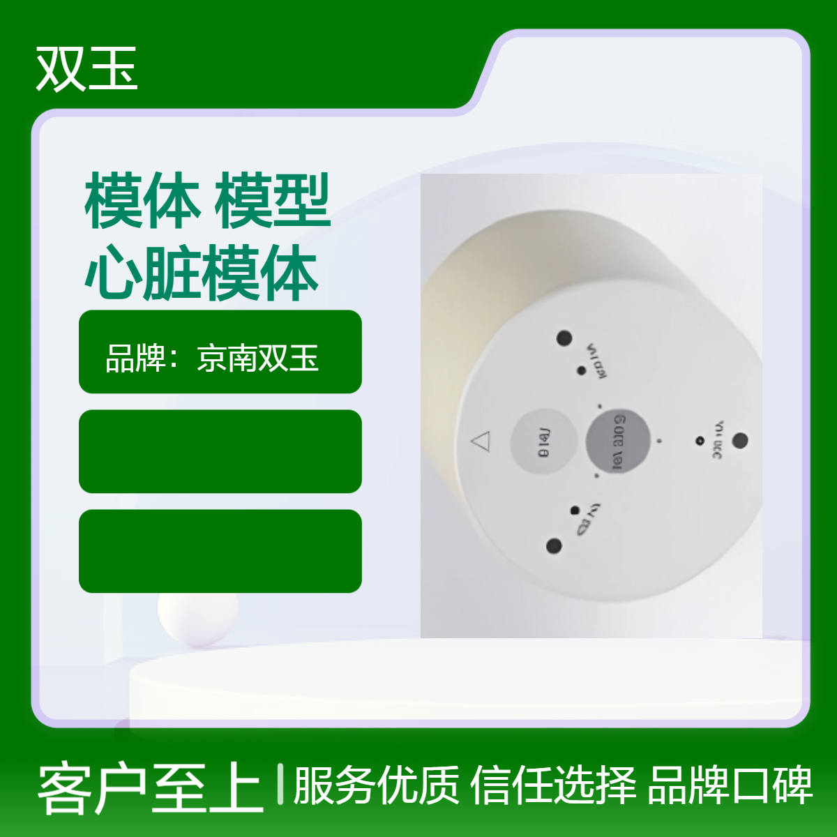 心脏CT模体CT机校准验收用脏模拟检测模型心模体