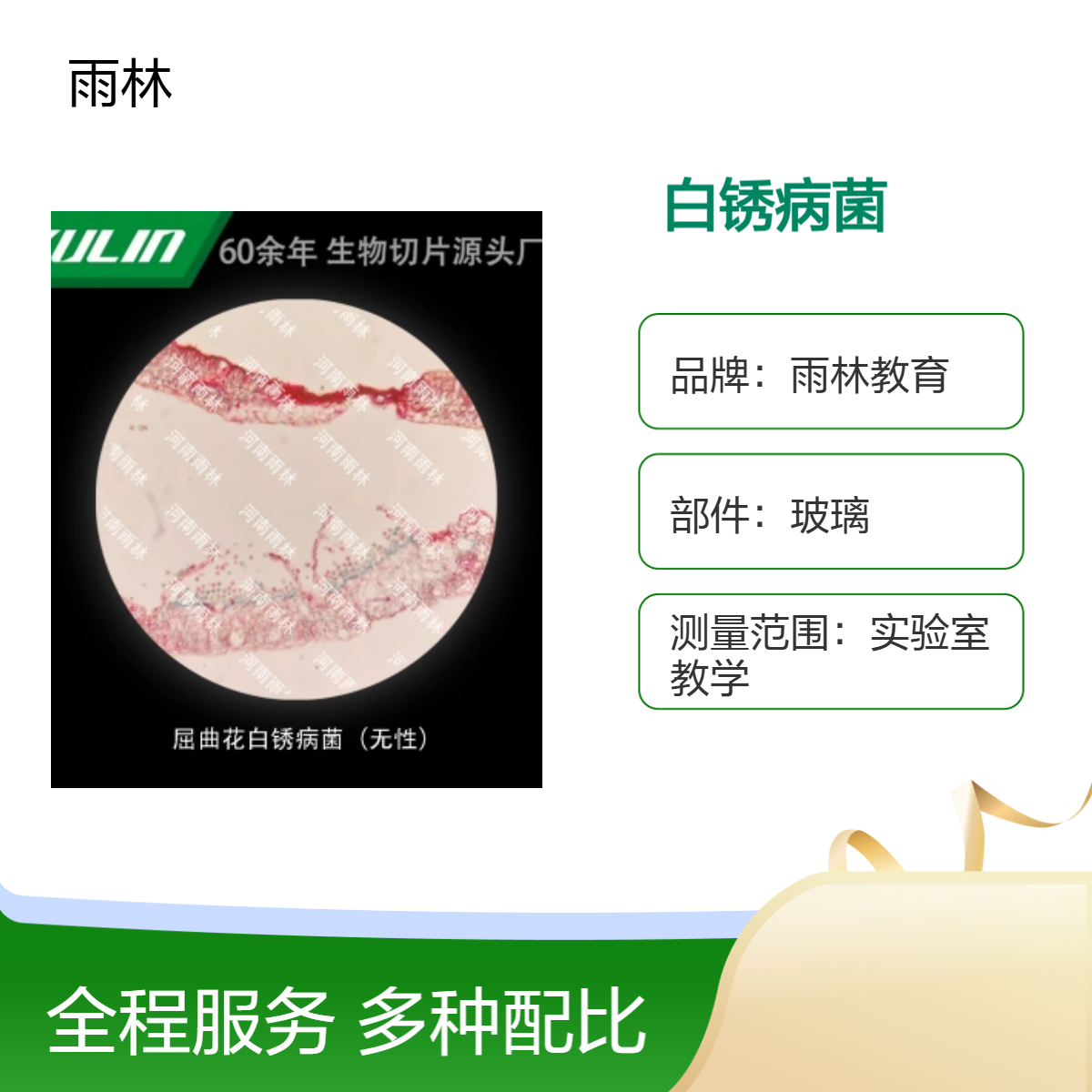 屈曲花白锈病菌（无性）显微镜标本生物细胞观察实验高校教学示范
