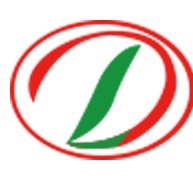 大力智能科技（海南）有限公司 - 公司logo