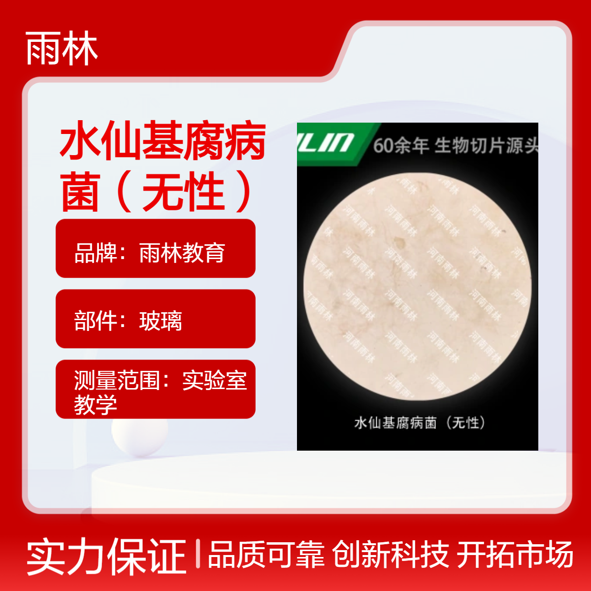 水仙基腐病菌（无性）显微镜标本动植物细胞观察实验高校教学