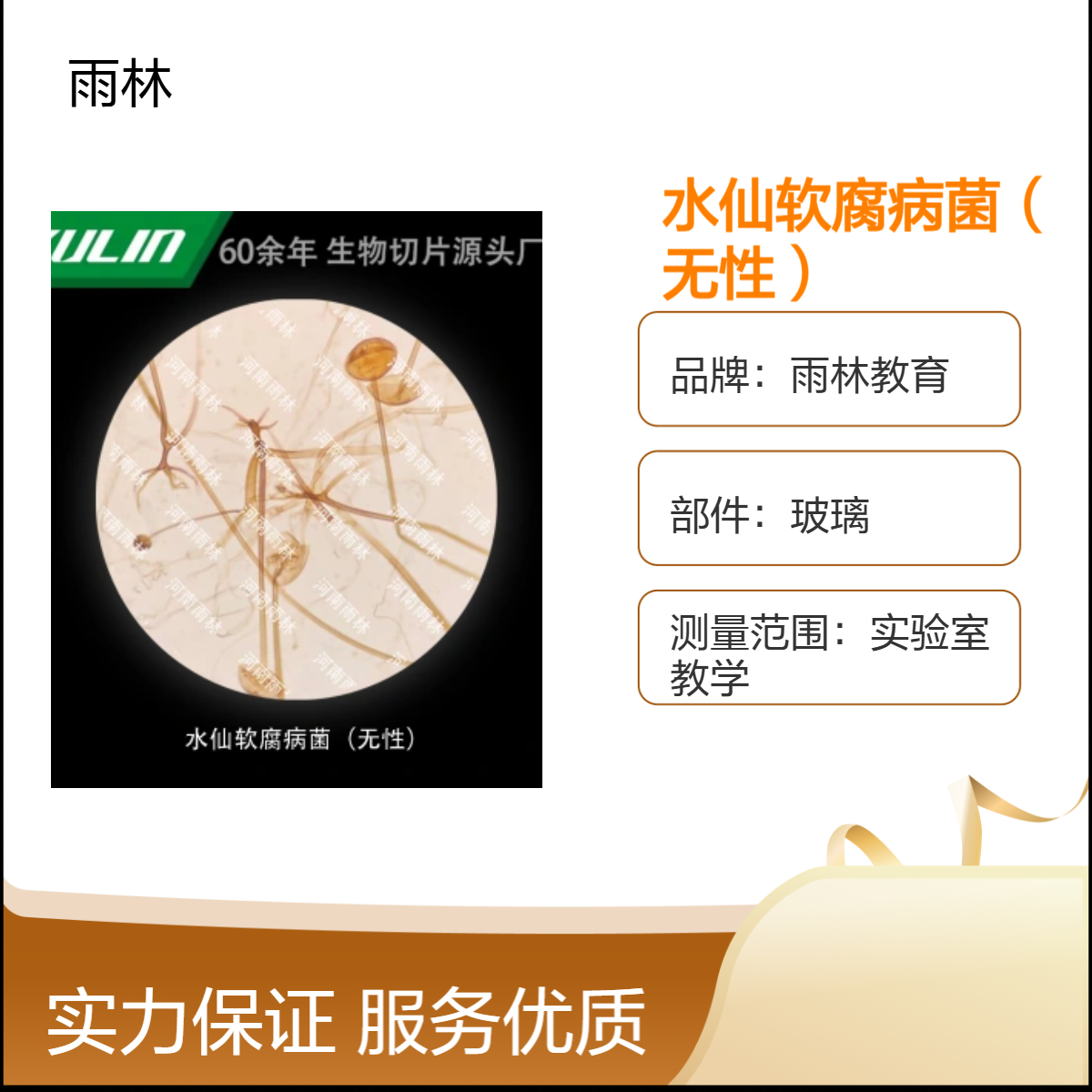 水仙软腐病菌（无性）显微镜标本动植物细胞观察实验高校教学示范