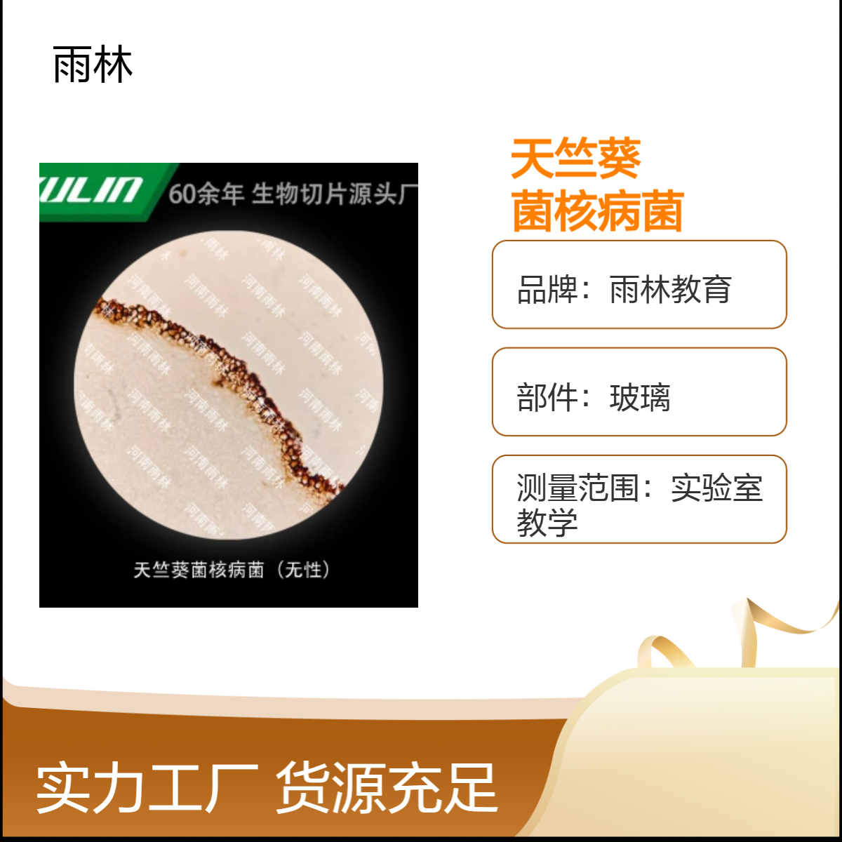 天竺葵菌核病菌（无性）显微镜标本生物细胞观察实验高校教学示范