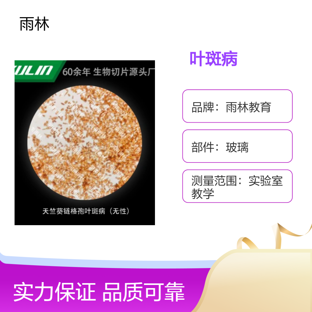 天竺葵链格孢叶斑病（无性）显微镜标本生物细胞观察实验高校教学
