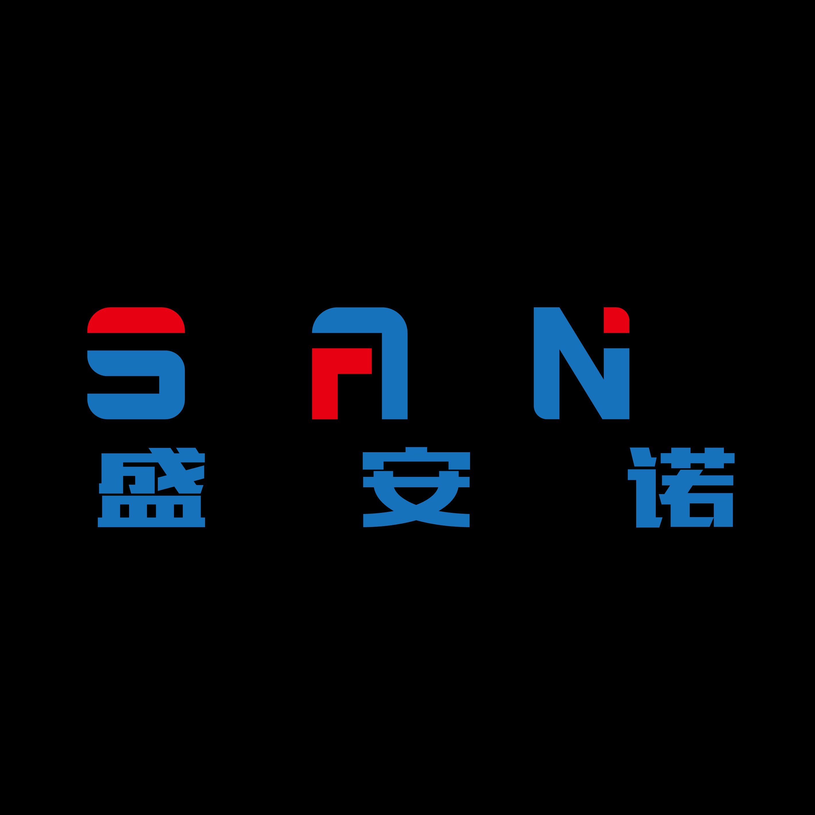 盛安诺技术有限公司