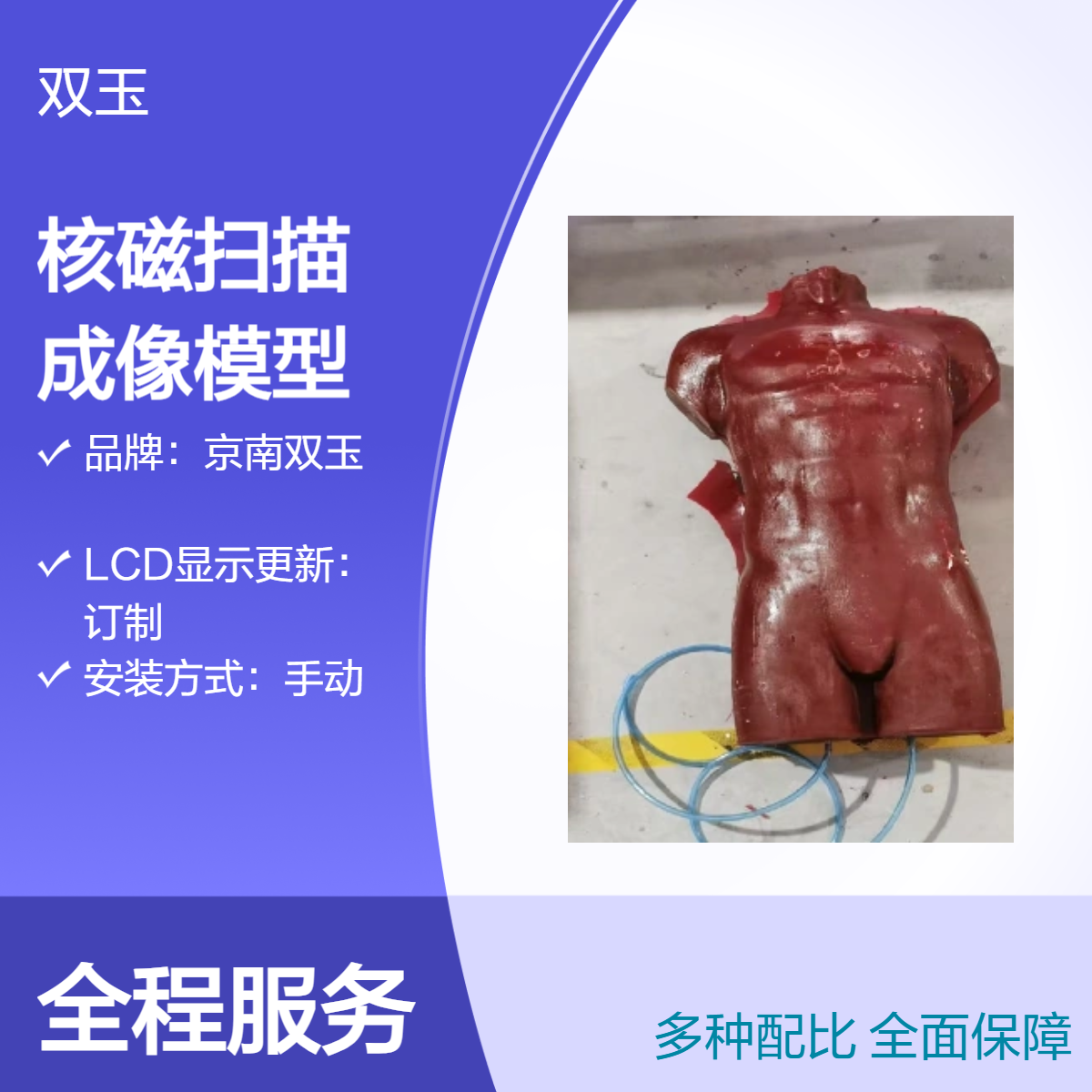 医科扫描全身模拟人核磁扫描成像躯干CT超声成像模型