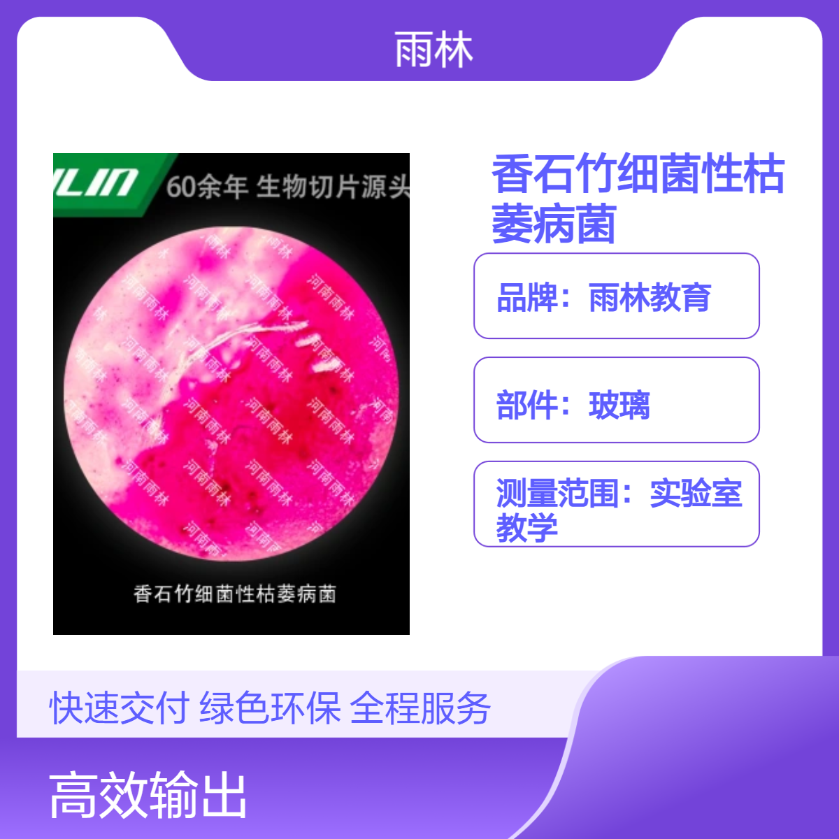 臭椿根皮横切（生药）显微镜标本切片生物细胞观察科研实验高校