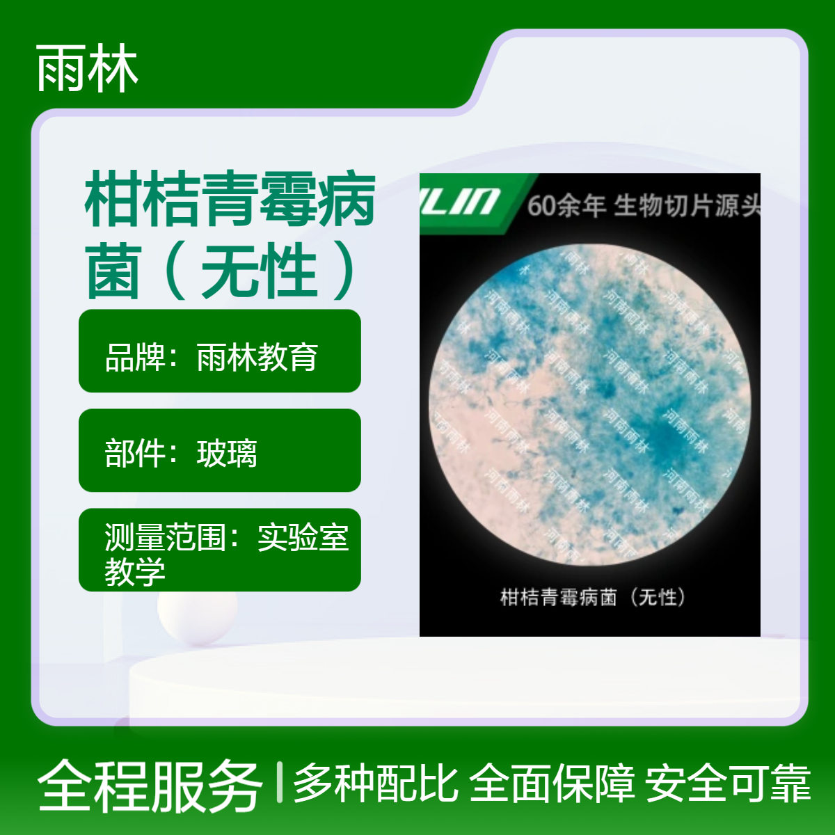柑桔青霉病菌（无性）显微镜标本切片生物细胞观察科研实验高校