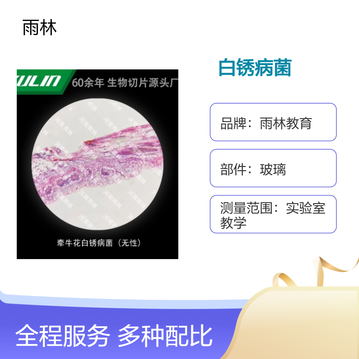 牵牛花白锈病菌（无性）显微镜标本切片生物细胞观察科研实验高校