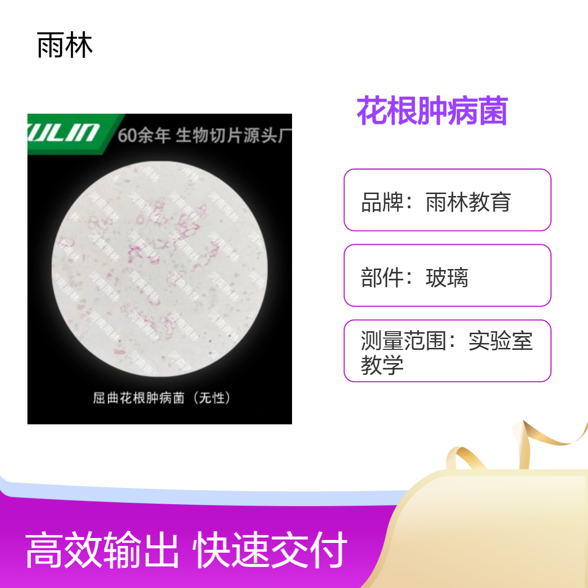屈曲花根肿病菌（无性）显微镜标本切片生物细胞观察科研实验高校
