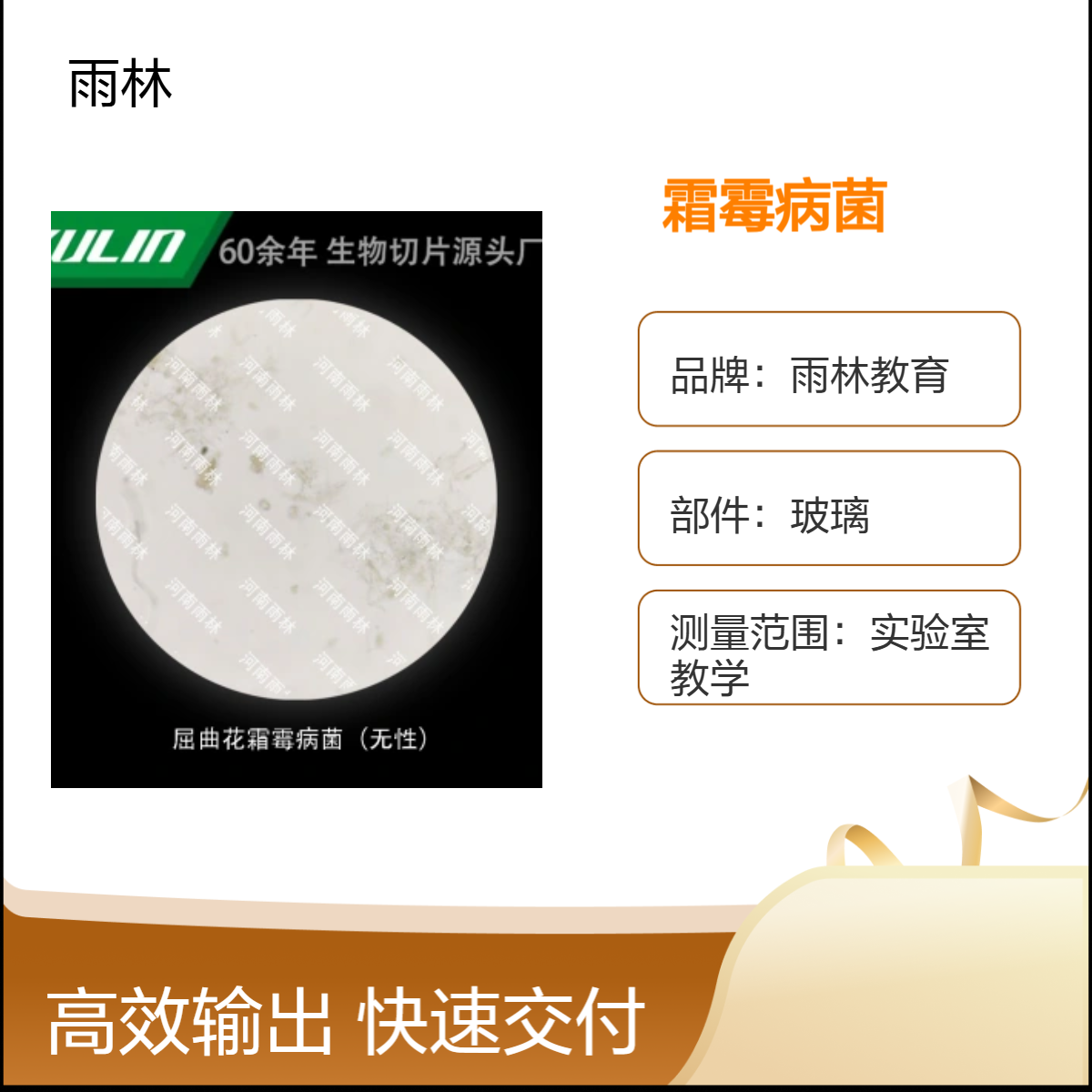 屈曲花霜霉病菌（无性）显微镜标本切片生物细胞观察科研实验高校