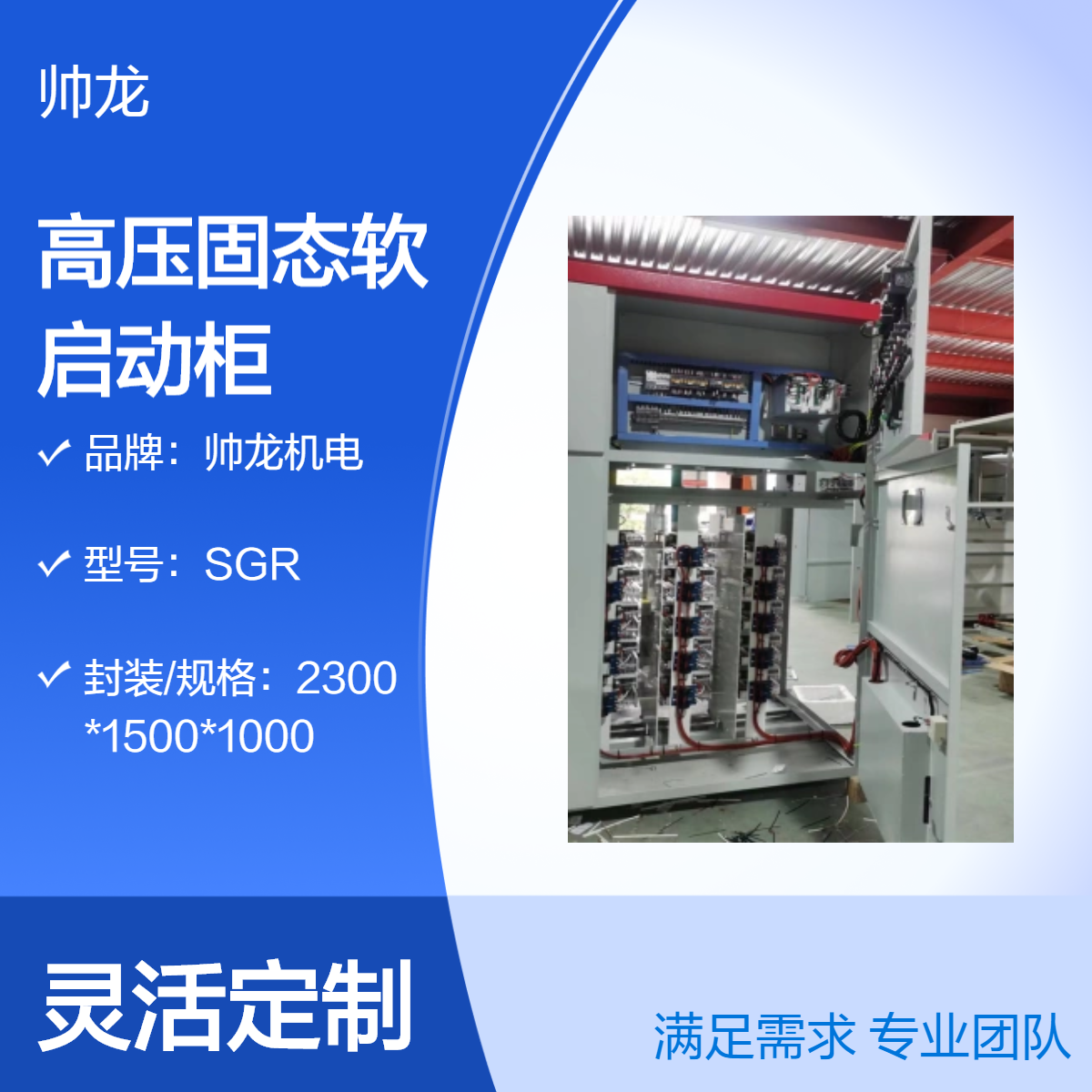 帅龙机电SGR型高压固态软启动柜 球磨机起动柜