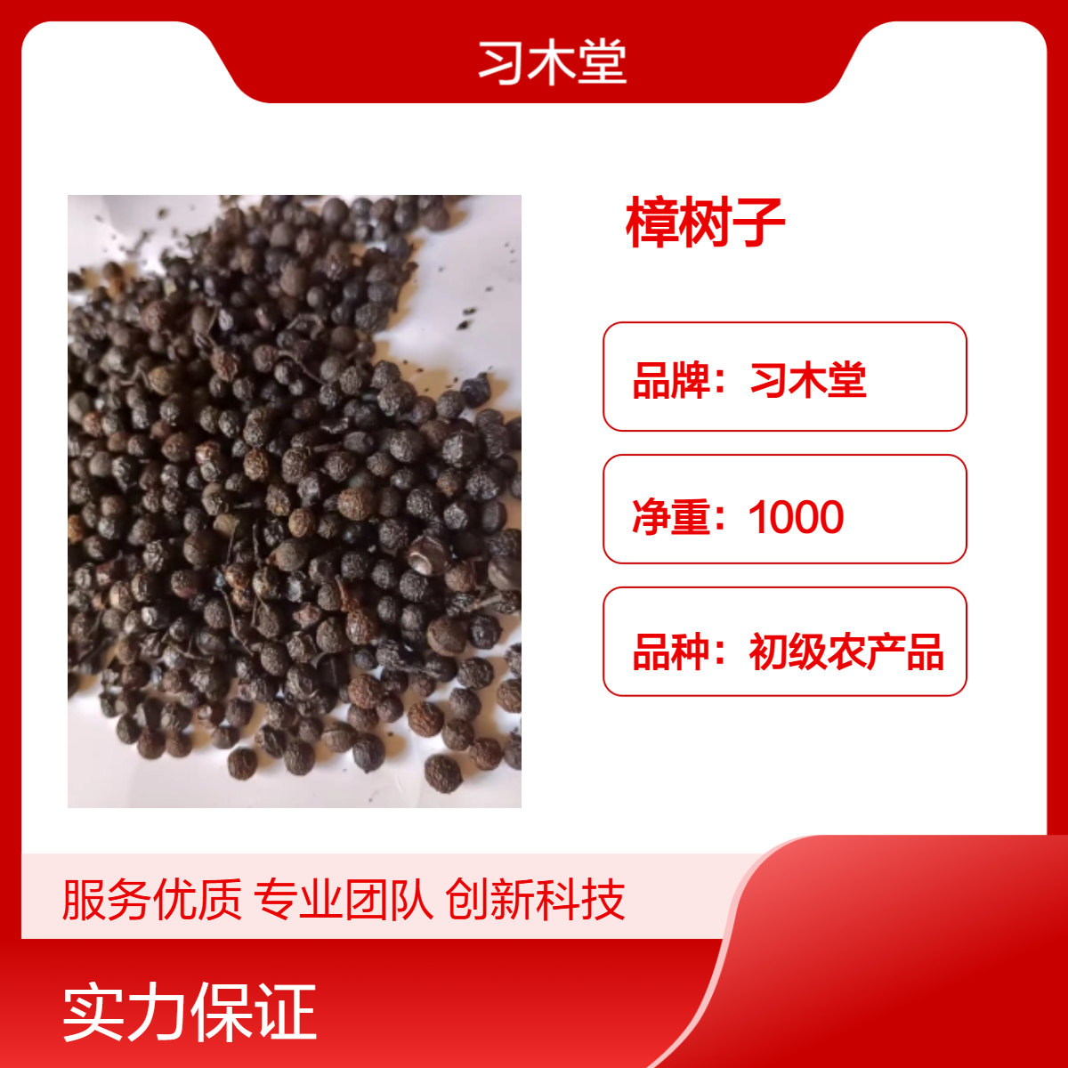 习木堂 樟树子 产地直售 大货供应 当年新货 自然晒干 品质好