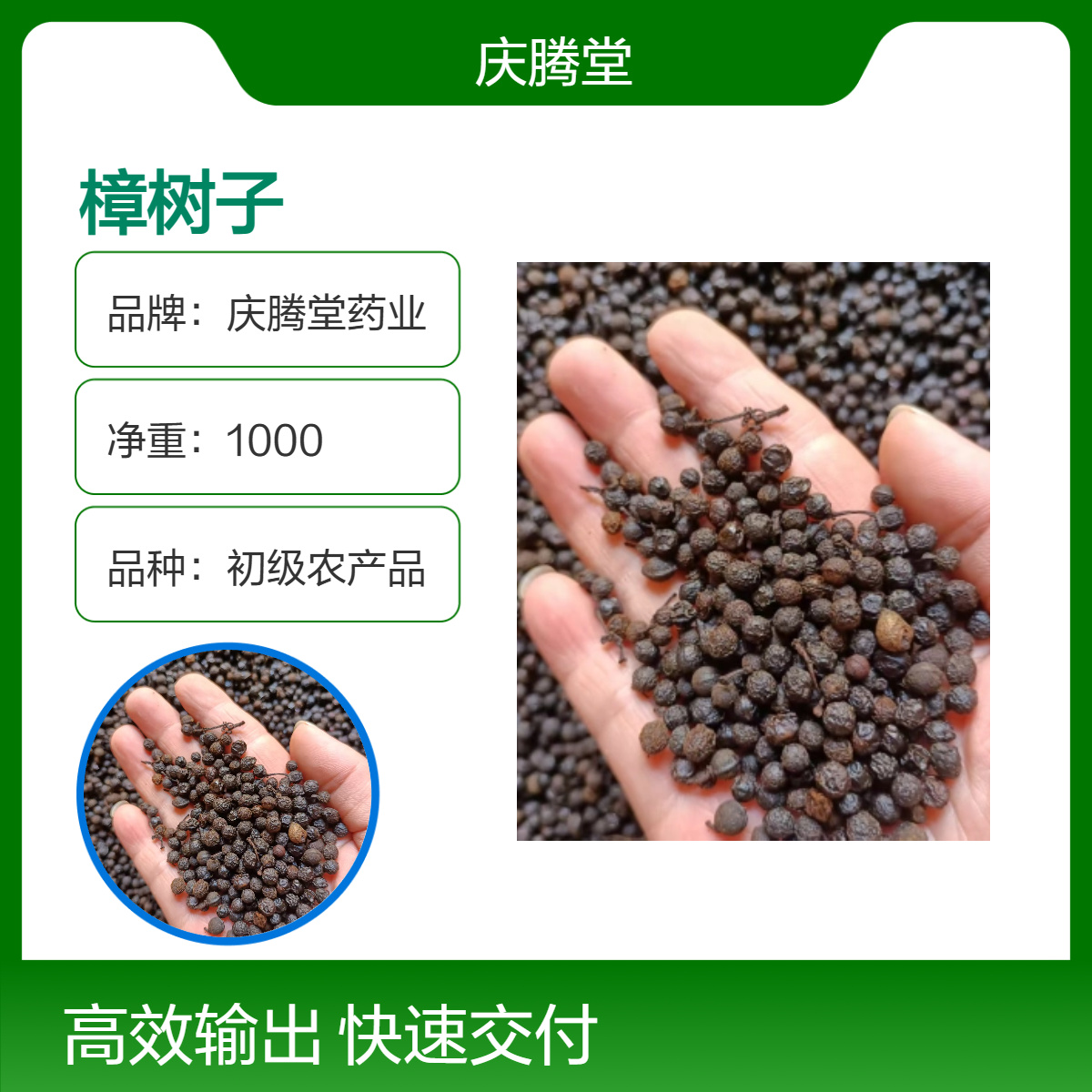 批发 樟树子 香樟木 当季 新货 无硫 好品质 产地直售 包邮