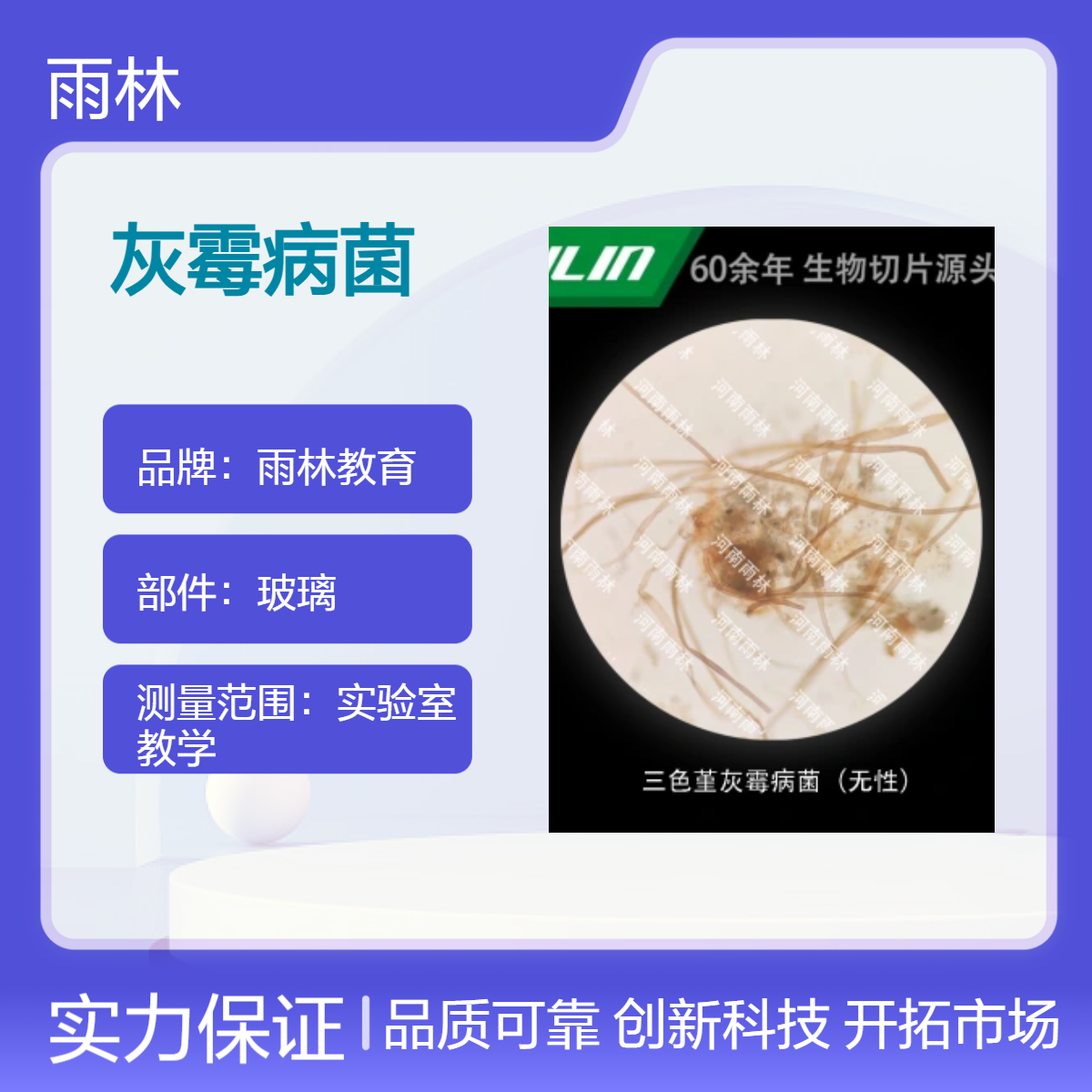 三色堇灰霉病菌（无性）显微镜标本切片动植物细胞载观察实验高校
