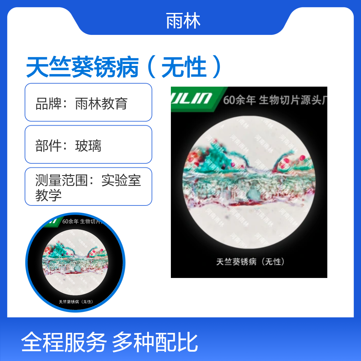 天竺葵锈病（无性）显微镜标本切片动植物细胞载观察实验高校教学