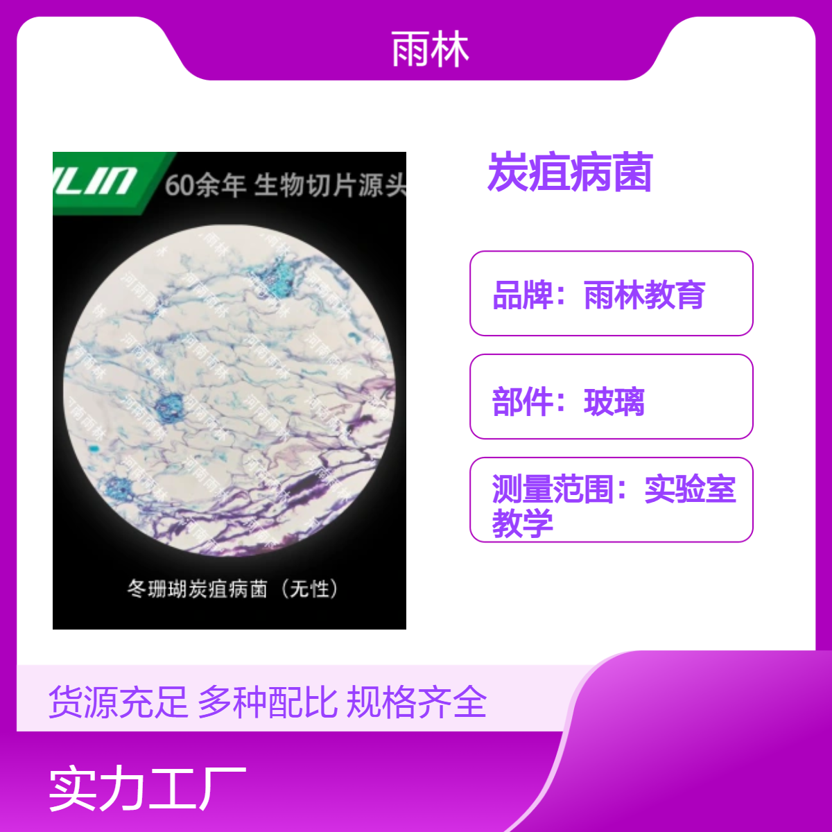 冬珊瑚炭疽病菌（无性）显微镜标本切片动植物细胞载观察实验高校