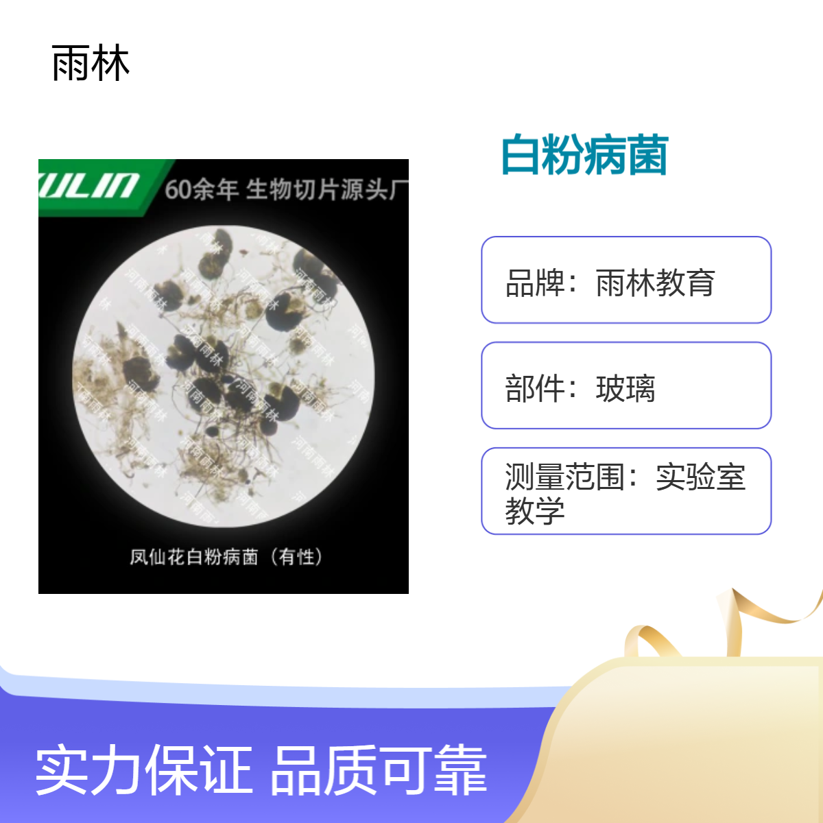 凤仙花白粉病菌（有性）显微镜标本切片动植物细胞载观察实验高校