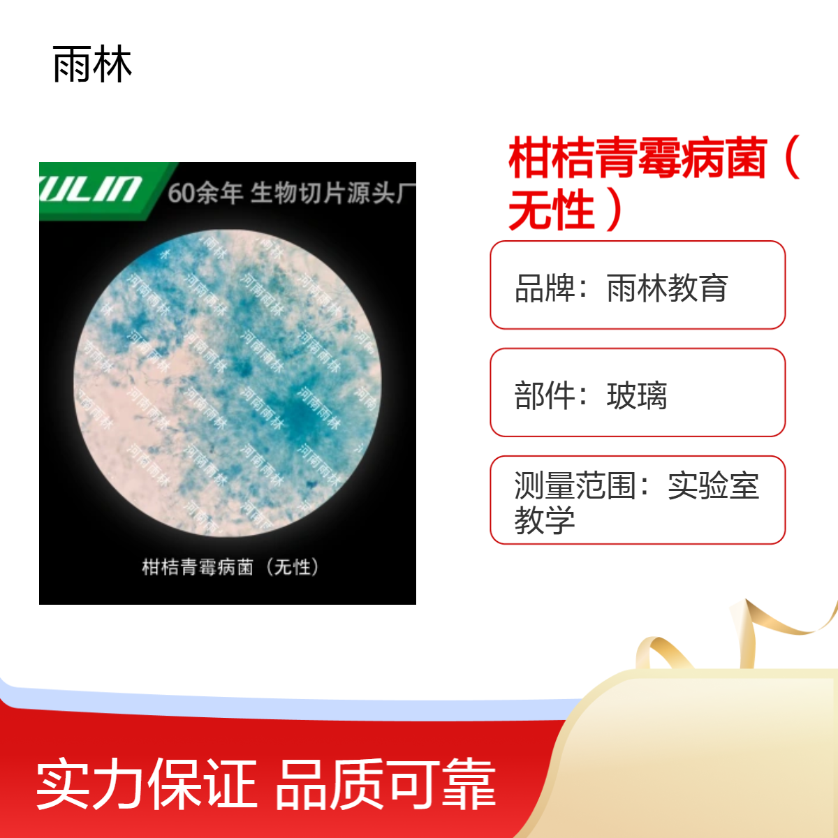 柑桔青霉病菌（无性）显微镜标本切片动植物细胞载观察实验高校