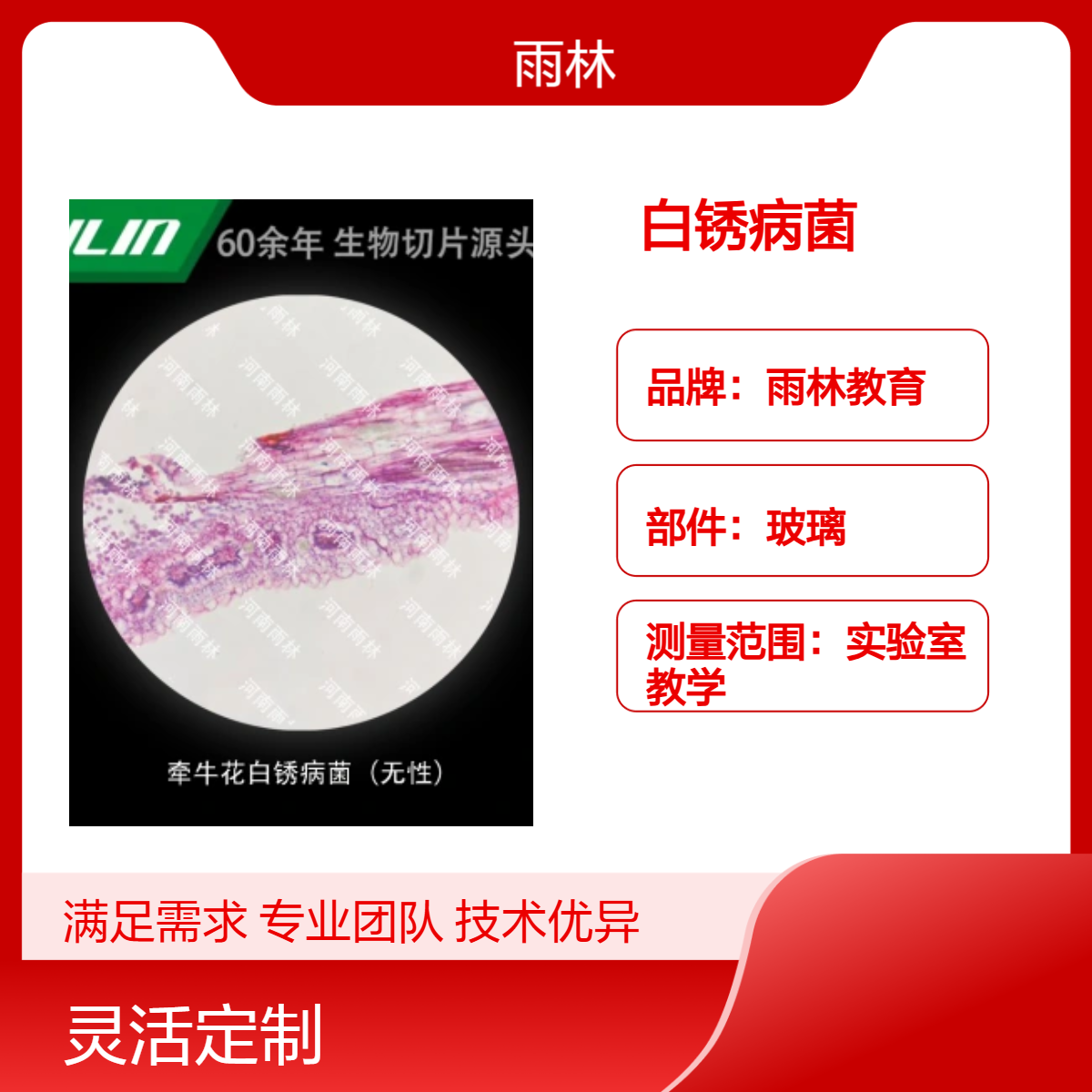 牵牛花白锈病菌（无性）显微镜标本切片动植物细胞载观察实验高校