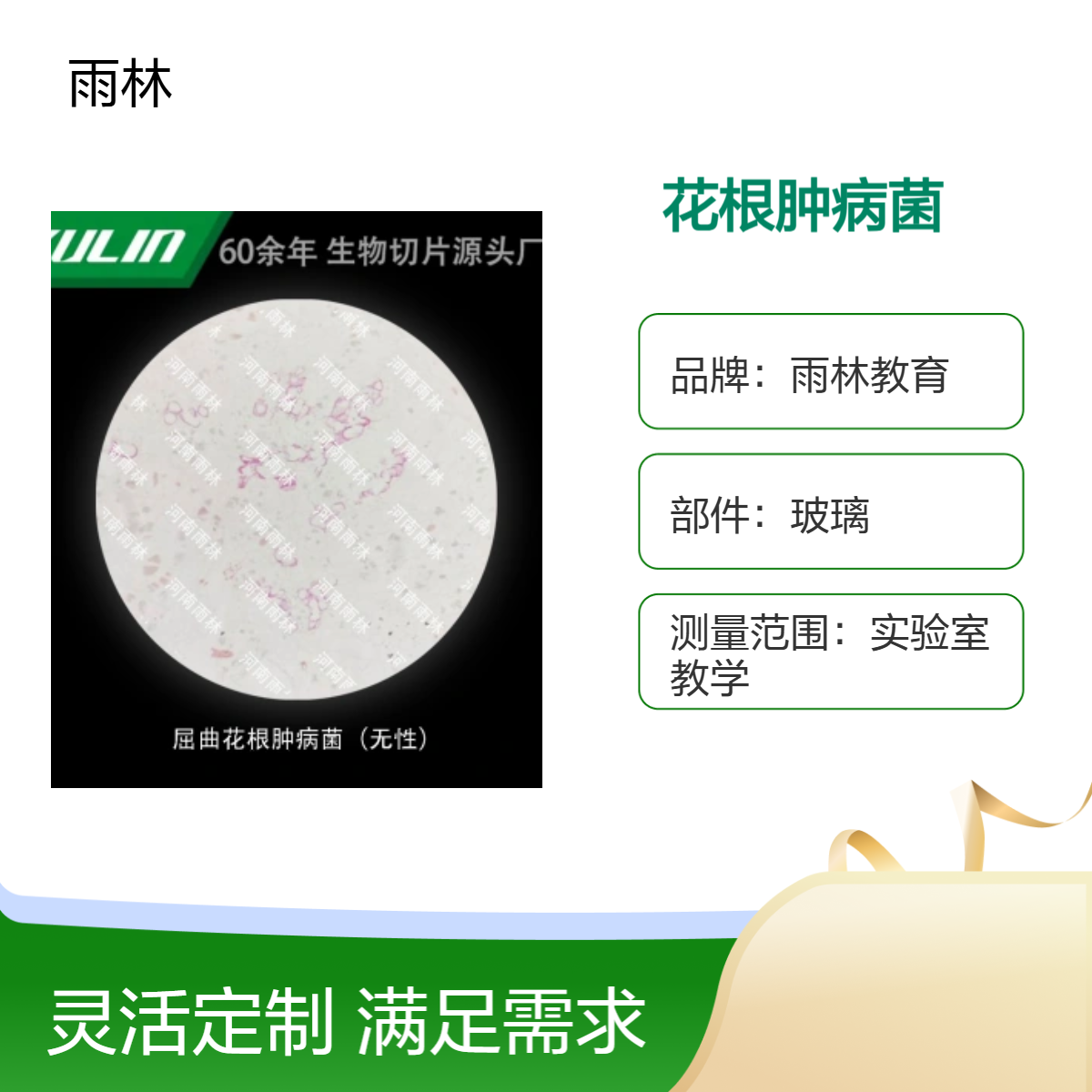 屈曲花根肿病菌（无性）显微镜标本切片动植物细胞载观察实验高校