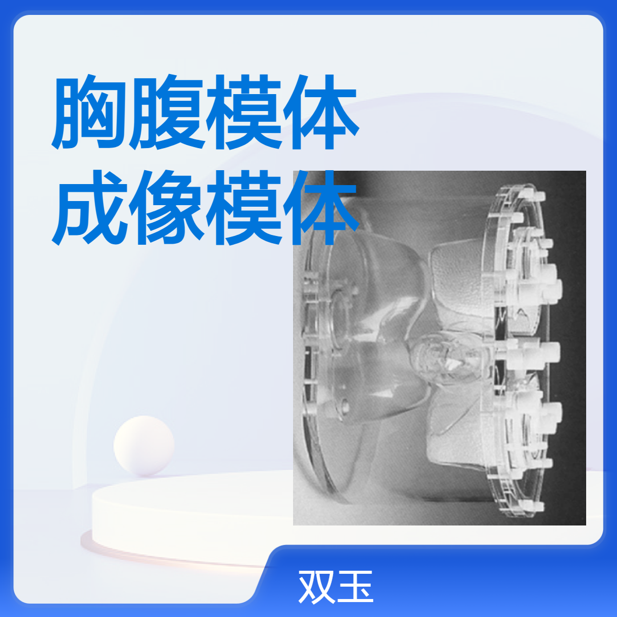 成人胸腹模体CT扫查成像校验胸肺成像模体加工定做产品