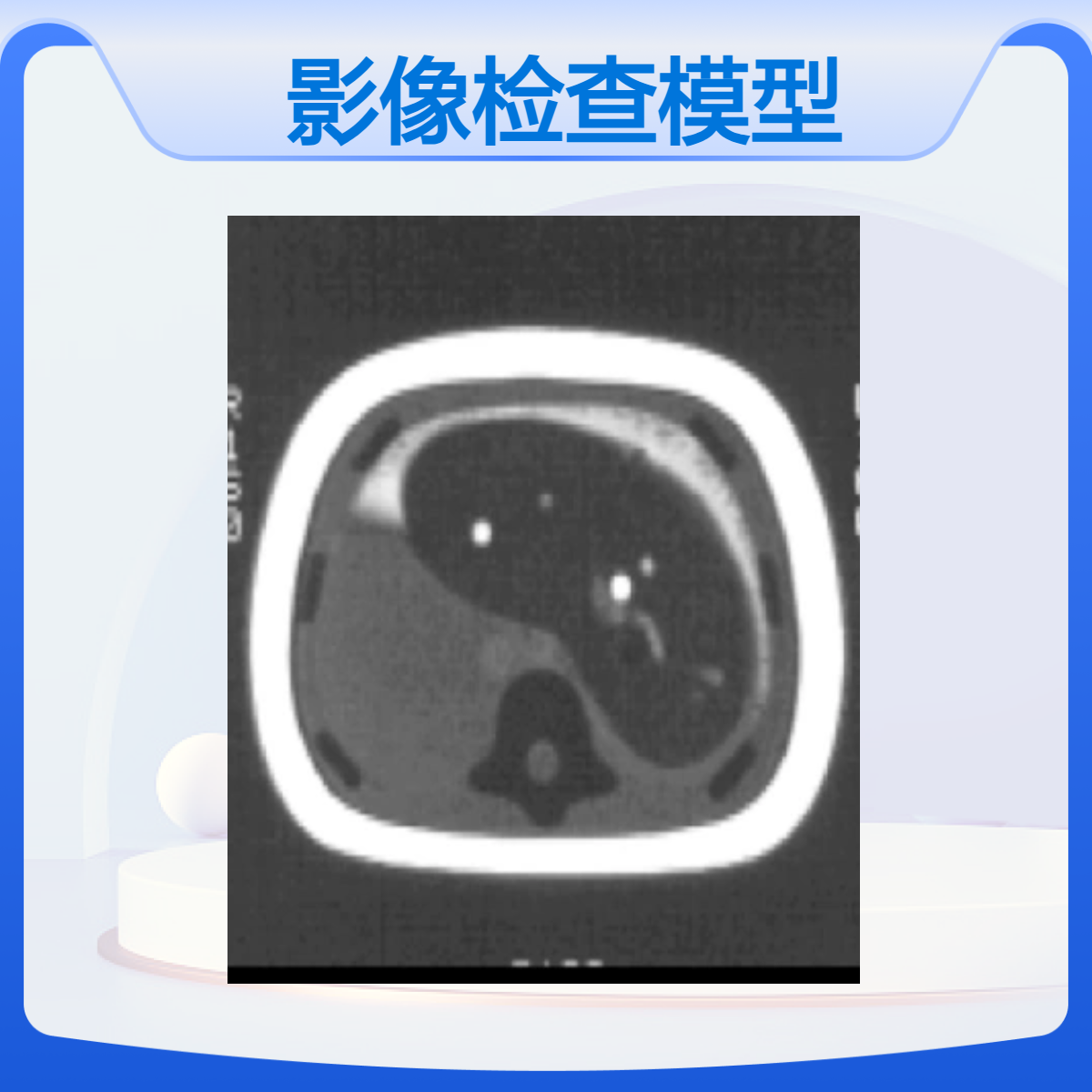 成人胸腹部影像检查模型CT扫描成像模型加工定做