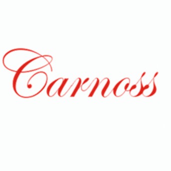 武汉卡诺斯科技有限公司