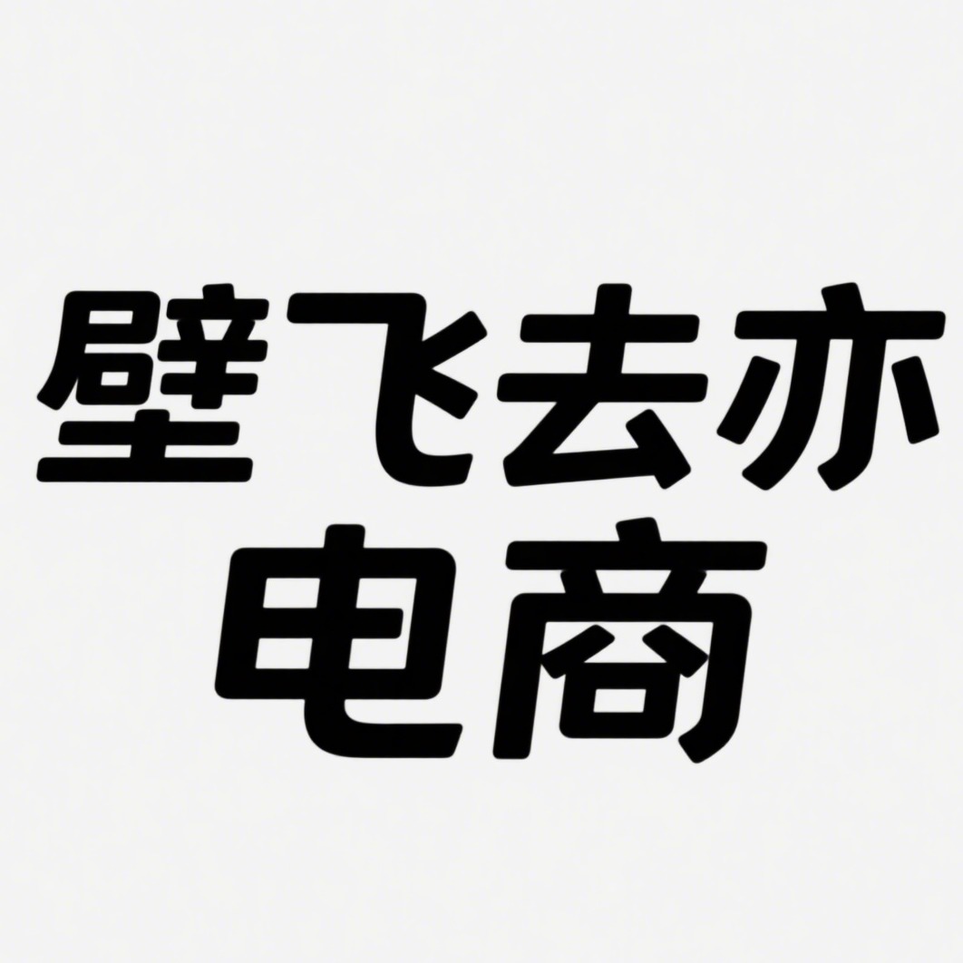 沭阳县壁飞去亦电子商务有限公司