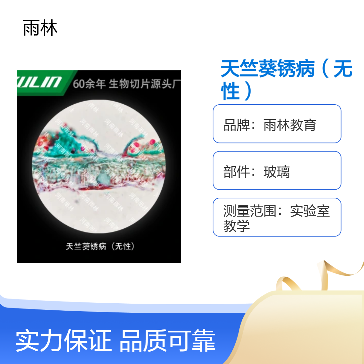 天竺葵锈病（无性）显微镜标本切片动植物细胞载观察实验高校教学