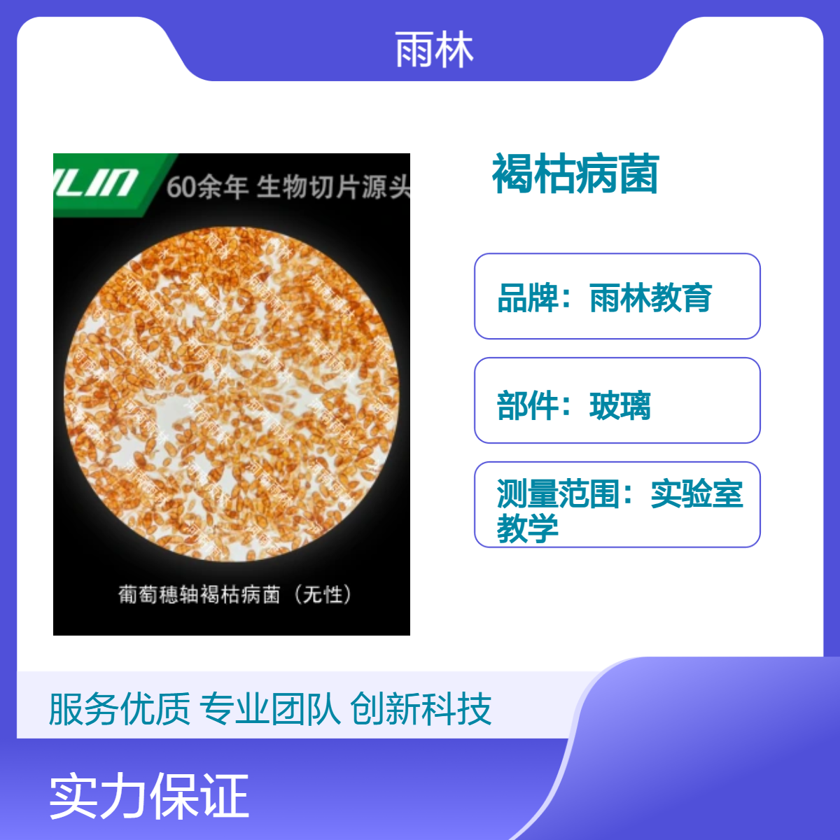 葡萄穗轴褐枯病菌（无性）显微镜标本切片生物细胞载观察实验高校