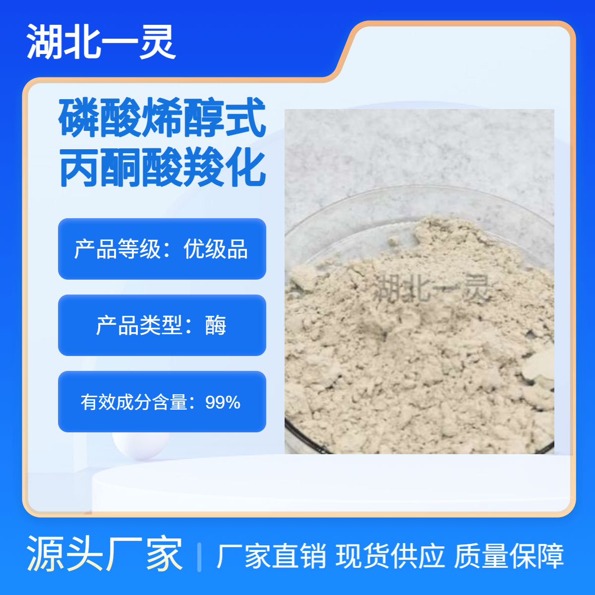 磷酸烯醇式丙酮酸羧化酶 CAS9067-77-0 ≥ 80U/mg 厂家直发