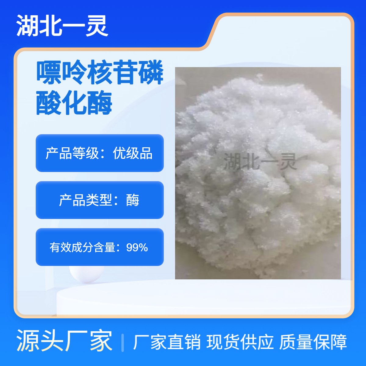 嘌呤核苷磷酸化酶 CAS9030-21-1 ≥ 200U/mg 厂家直发