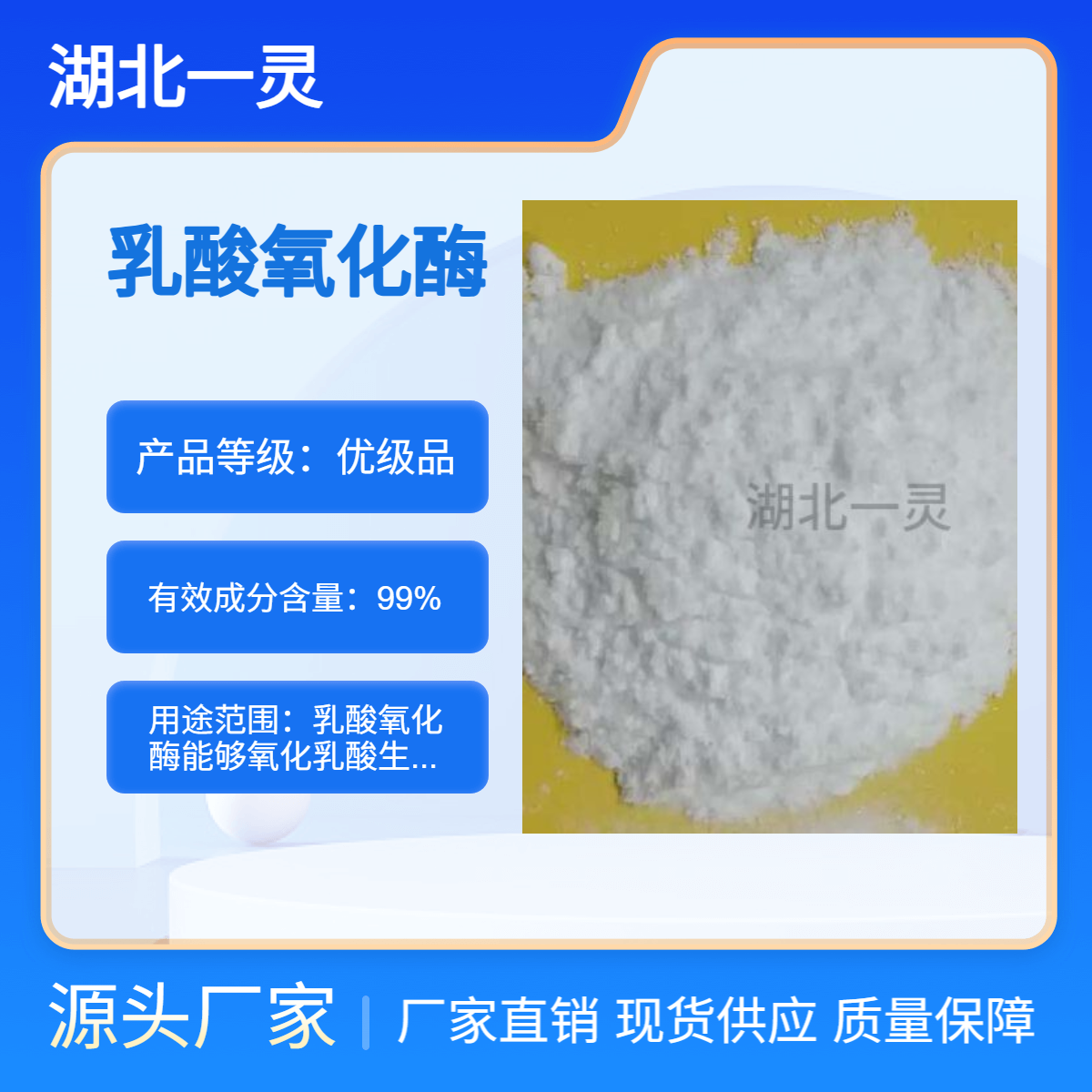 乳酸氧化酶 CAS9028-72-2 ≥ 100U/mg 按需分装 厂家直发