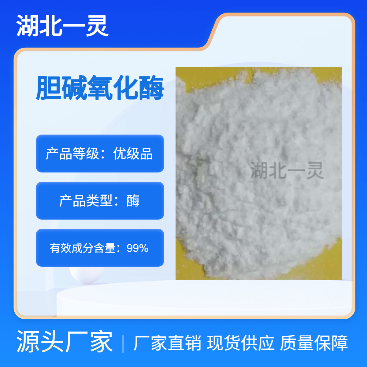 胆碱氧化酶 CAS9028-67-5 ≥ 150U/mg 按需分装 厂家直发