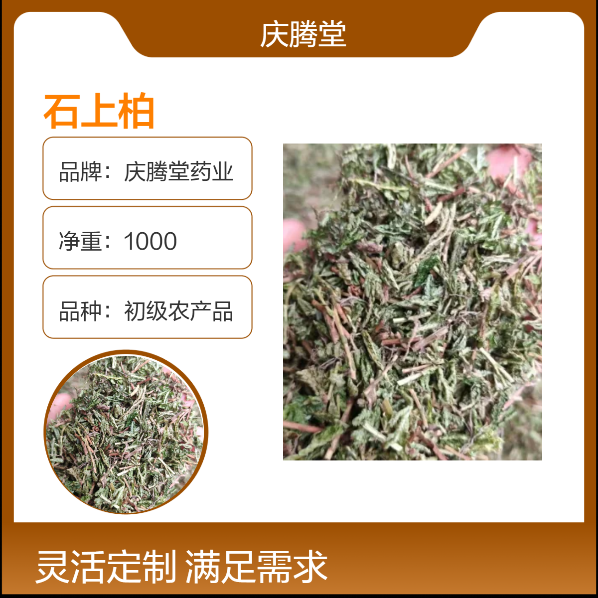 批发中草药石上柏 当年新货 自然晒干 品质正宗 包邮