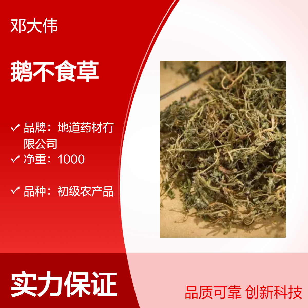 原色原药材鹅不食草 优选佳品 散装3年保质期 全国批发