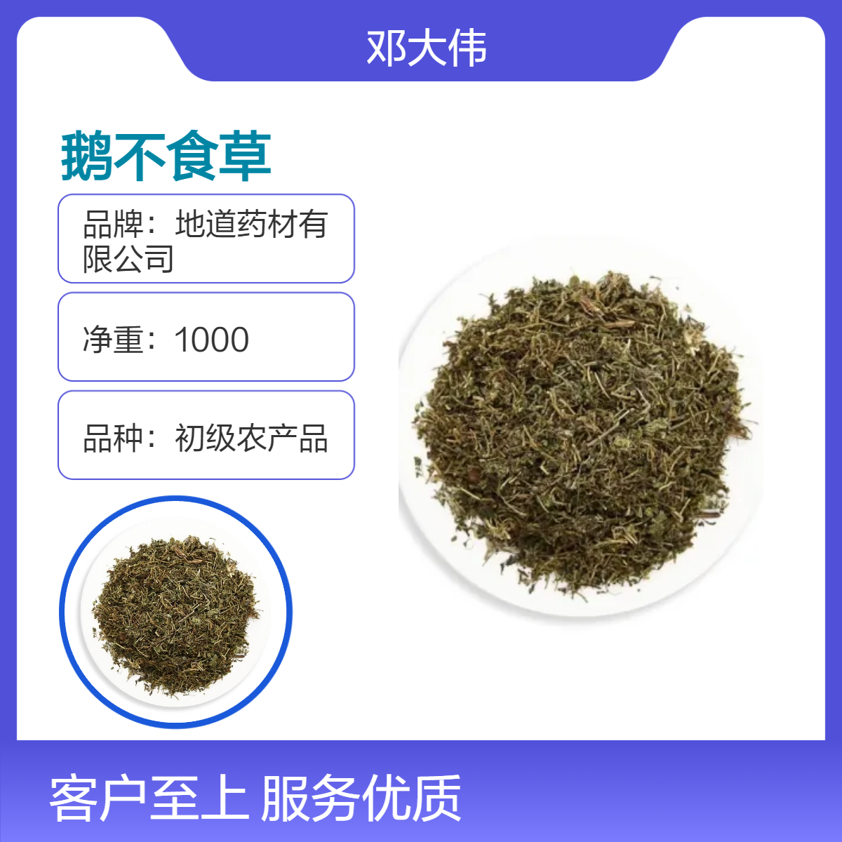 中药材鹅不食草批发零售 产地供应 当年新货 一件代发